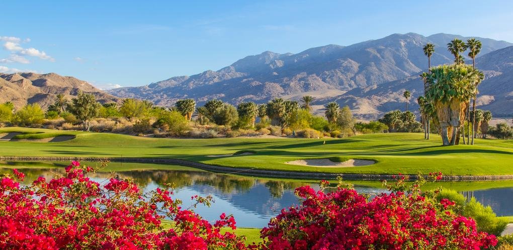 Exploring Jasper Palm Springs