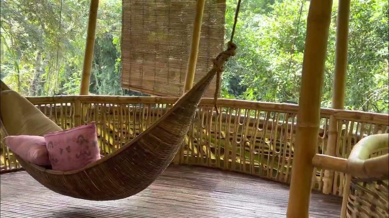 Riverhouse Swing – The Perfect Blend of Nature and Relaxation